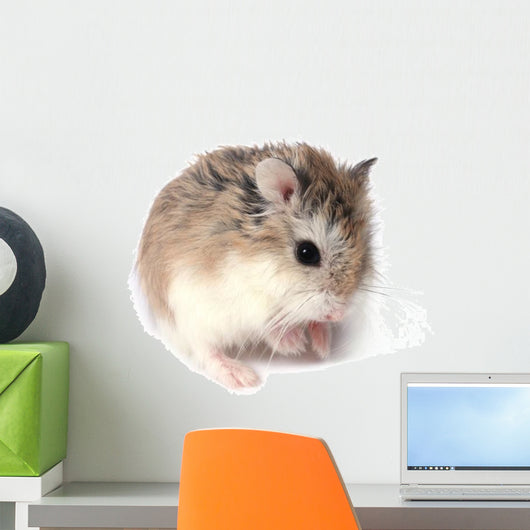 Roborovski Hamster Wall Decal