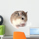 Roborovski Hamster Wall Decal