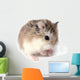 Roborovski Hamster Wall Decal
