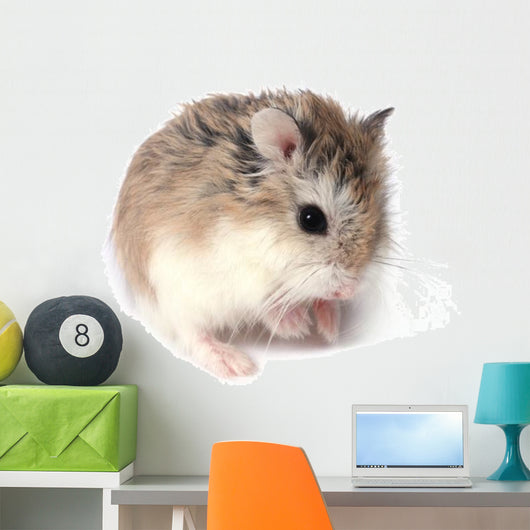Roborovski Hamster Wall Decal