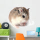 Roborovski Hamster Wall Decal