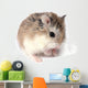 Roborovski Hamster Wall Decal