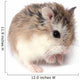 Roborovski Hamster Wall Decal