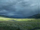 Sunlight Storm Wall Decal