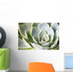 succulents Wall Mural