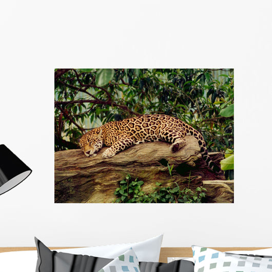 Jaguar Wall Mural