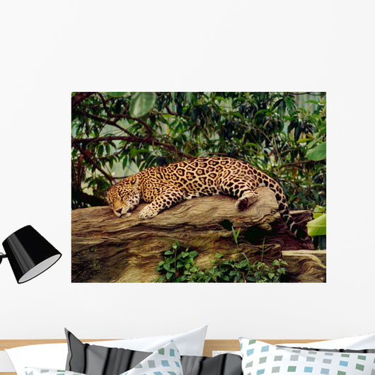 Jaguar Wall Mural