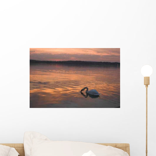 Swan Sunset Wall Decal