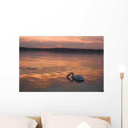 Swan Sunset Wall Decal