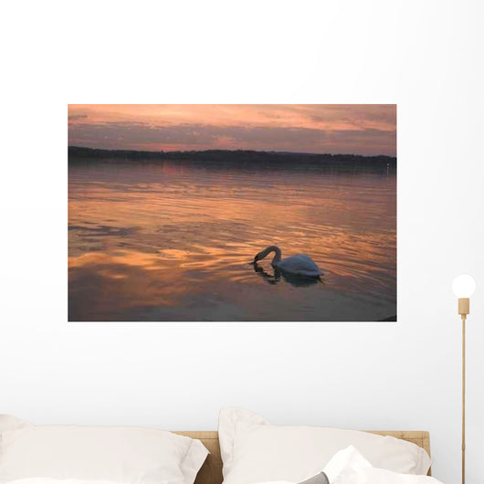 Swan Sunset Wall Decal