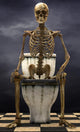 Skeleton Toilet Storm
