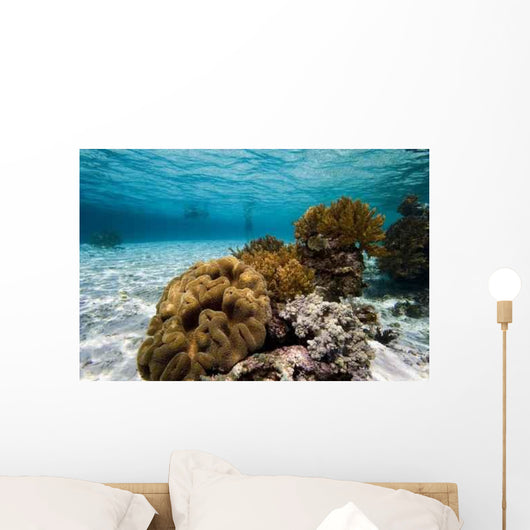 Indonesian Swimmers Wall Decal