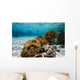 Indonesian Swimmers Wall Decal
