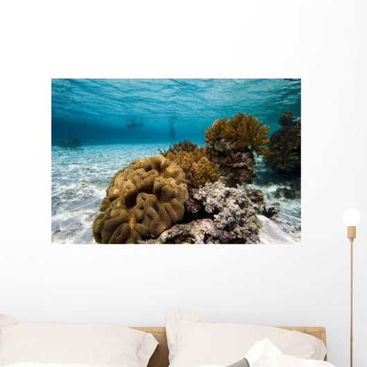Indonesian Swimmers Wall Decal