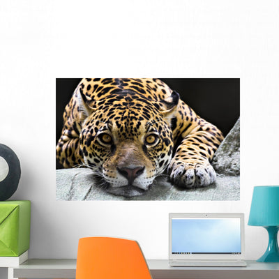 Jaguar shown on a wall