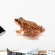 Frog Wall Decal
