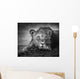 Young Lion Portrait Wall Mural
