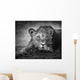 Young Lion Portrait Wall Mural