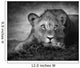 Young Lion Portrait Wall Mural