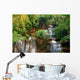 Water Fall in Deep Forest Wall Mural