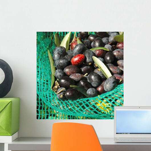 Olives Dans Filet Recolte Wall Decal Design 2