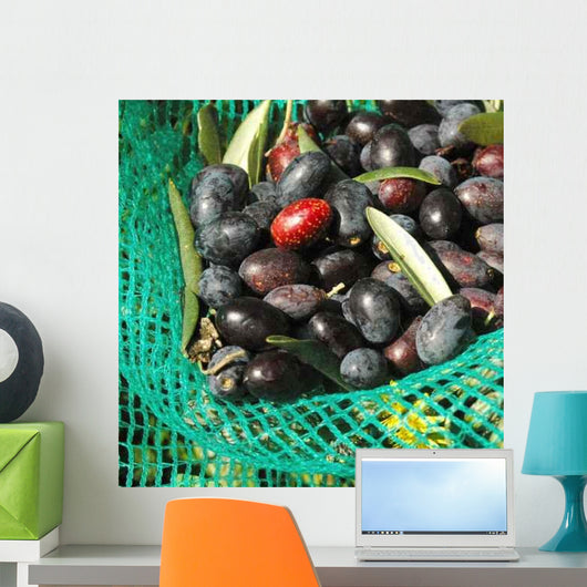 Olives Dans Filet Recolte Wall Decal Design 2