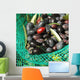 Olives Dans Filet Recolte Wall Decal Design 2