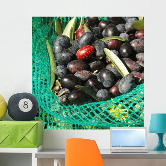 Olives Dans Filet Recolte Wall Decal Design 2