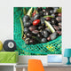 Olives Dans Filet Recolte Wall Decal Design 2
