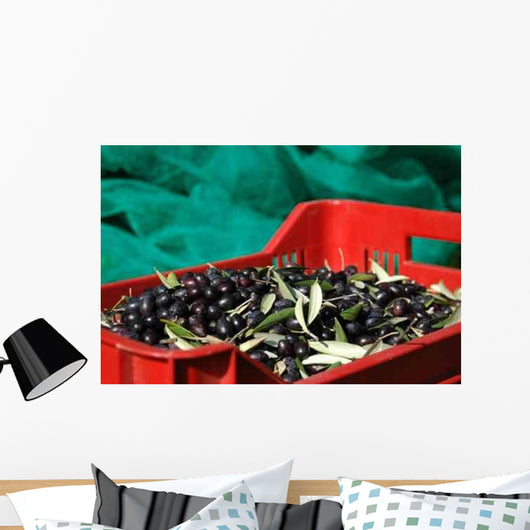 Olives Crop Insurance Fund Wall Decal
