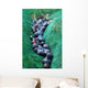 Olives Dans Filet Recolte Wall Decal Design 1