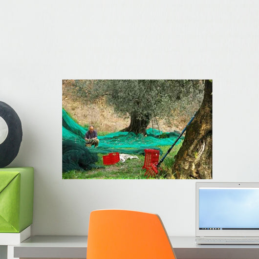 Recolte D'olives Wall Decal
