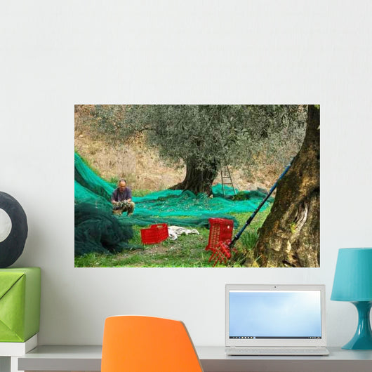 Recolte D'olives Wall Decal
