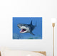 Great White Shark Wall Mural