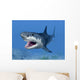 Great White Shark Wall Mural