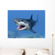 Great White Shark Wall Mural