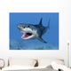 Great White Shark Wall Mural