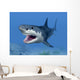 Great White Shark Wall Mural