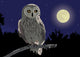 owl Wall Mural