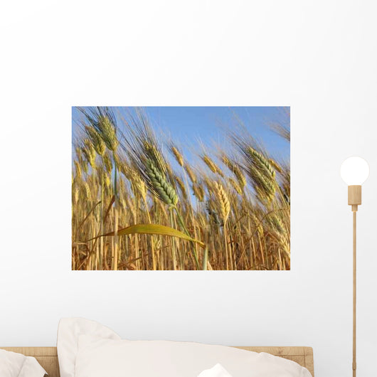 Grano Wall Decal