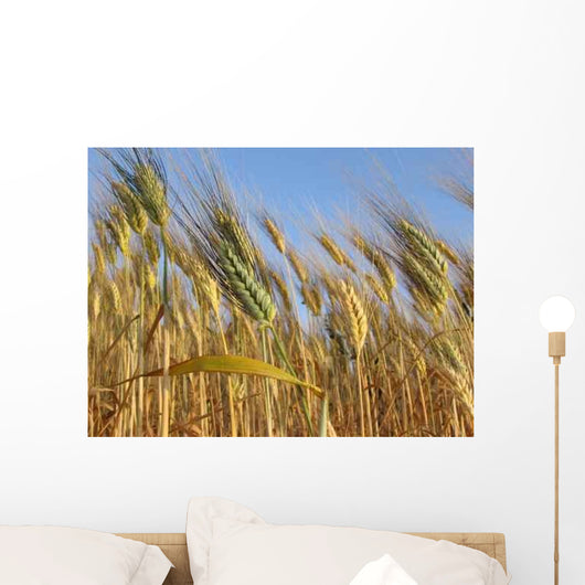 Grano Wall Decal