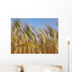 Grano Wall Decal