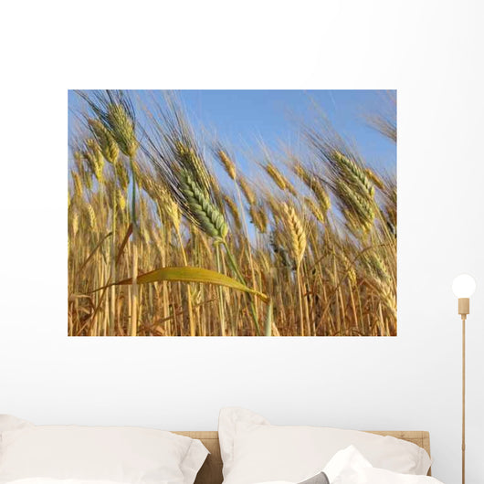 Grano Wall Decal