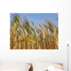 Grano Wall Decal