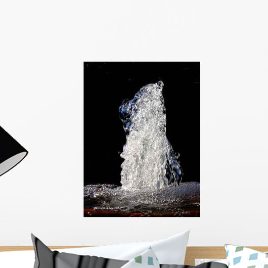 Zampillo Wall Decal
