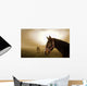 Horse in the Mist Wall Mural