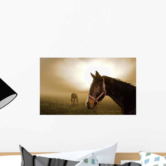 Horse in the Mist Wall Mural