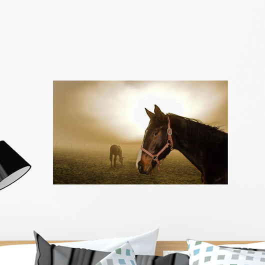 Horse in the Mist Wall Mural