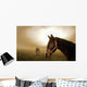 Horse in the Mist Wall Mural