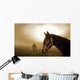 Horse in the Mist Wall Mural